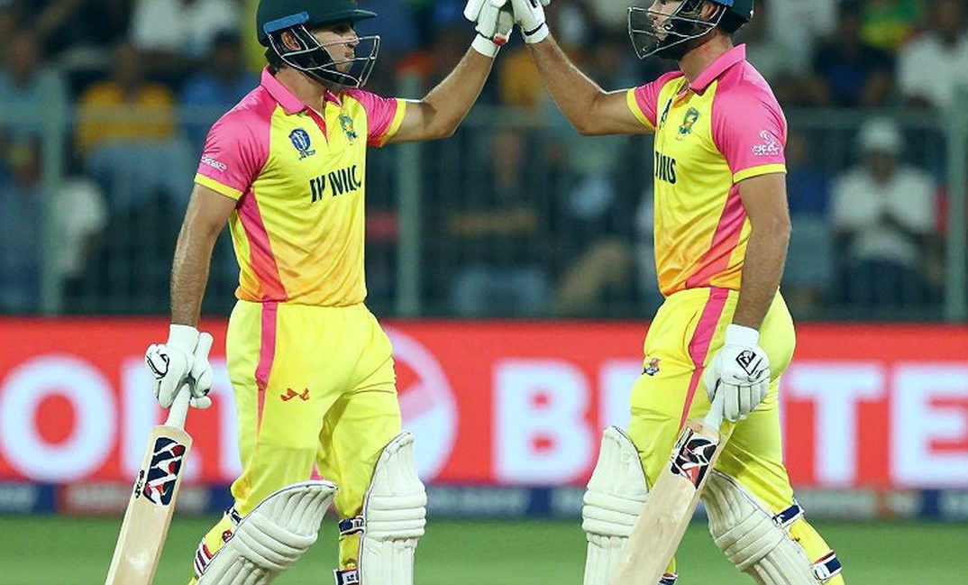 Testimony of an Empty File: When the Chain of Cricket Analysis Goes Blank Testimony of an Empty File: When the Chain of Cricket Analysis Goes Blank
