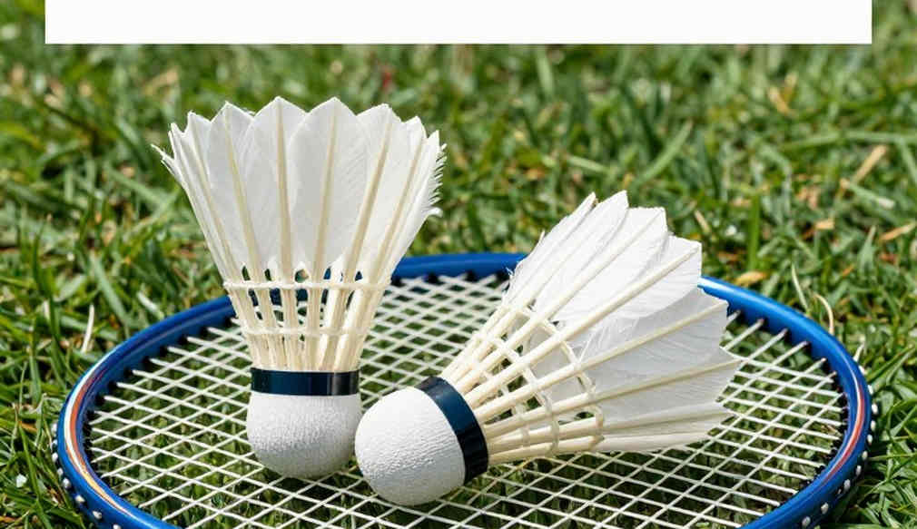 Badminton at the Asian Games: The Real First Round Is the Quarter-Final Badminton at the Asian Games: The Real First Round Is the Quarter-Final
